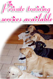 Private training services available